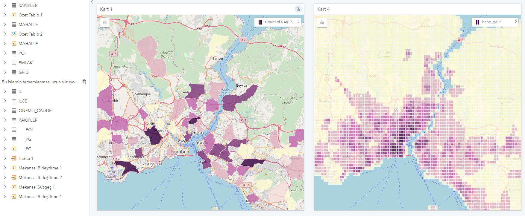 Veri zenginleştirme haritaları